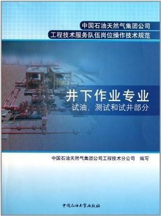 中国石油天然气集团公司工程技术服务队伍岗位操作技术规划 构建卓越服务体系，保障能源安全